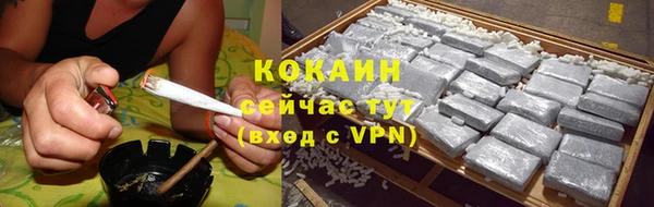 твердый Осташков