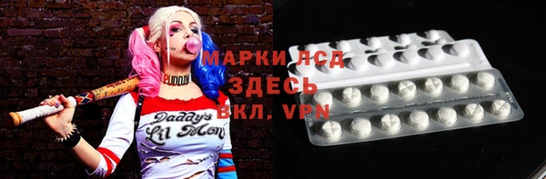ПСИЛОЦИБИНОВЫЕ ГРИБЫ Абаза