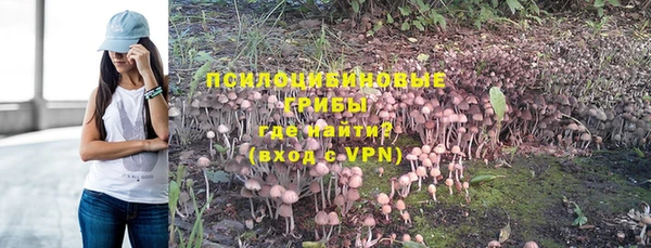 ПСИЛОЦИБИНОВЫЕ ГРИБЫ Абаза