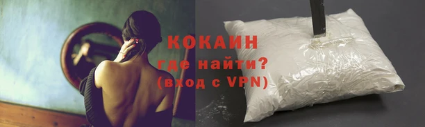 стафф Абинск