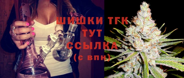 ПСИЛОЦИБИНОВЫЕ ГРИБЫ Абаза