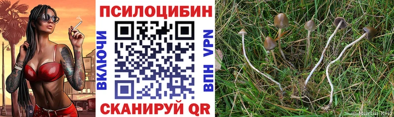 Галлюциногенные грибы GOLDEN TEACHER  Усолье 
